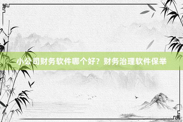 小公司财务软件哪个好？财务治理软件保举