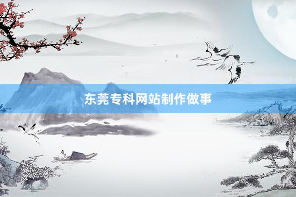 东莞专科网站制作做事