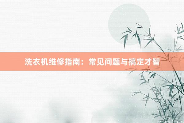 洗衣机维修指南：常见问题与搞定才智